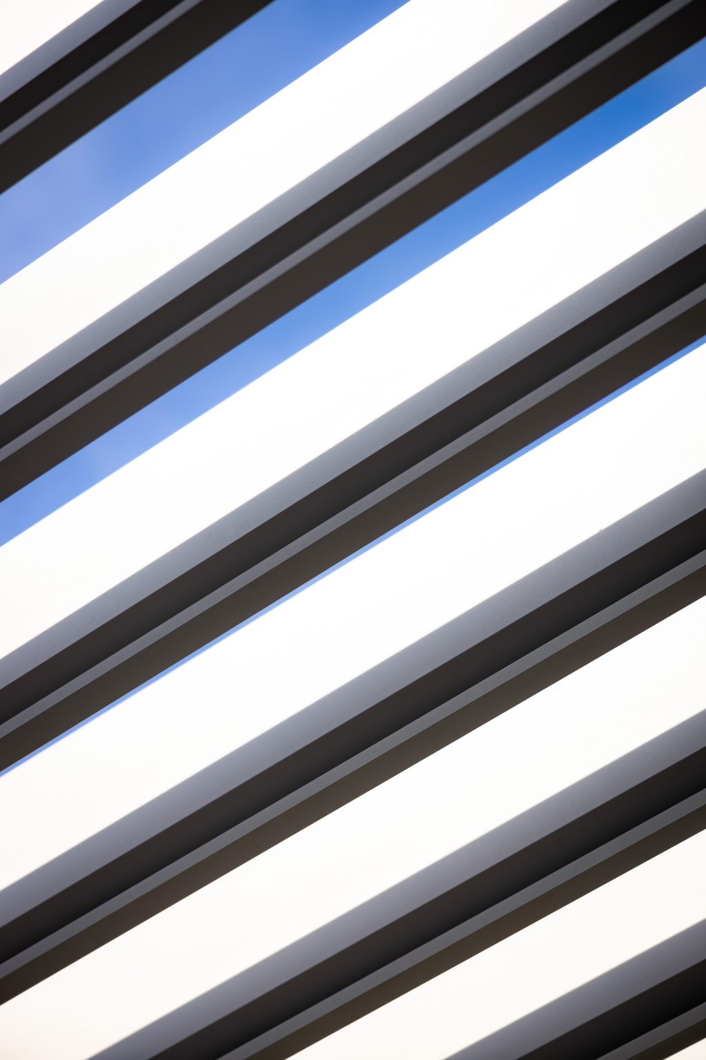 bio_LAMARK_kolin_detail_lamel2