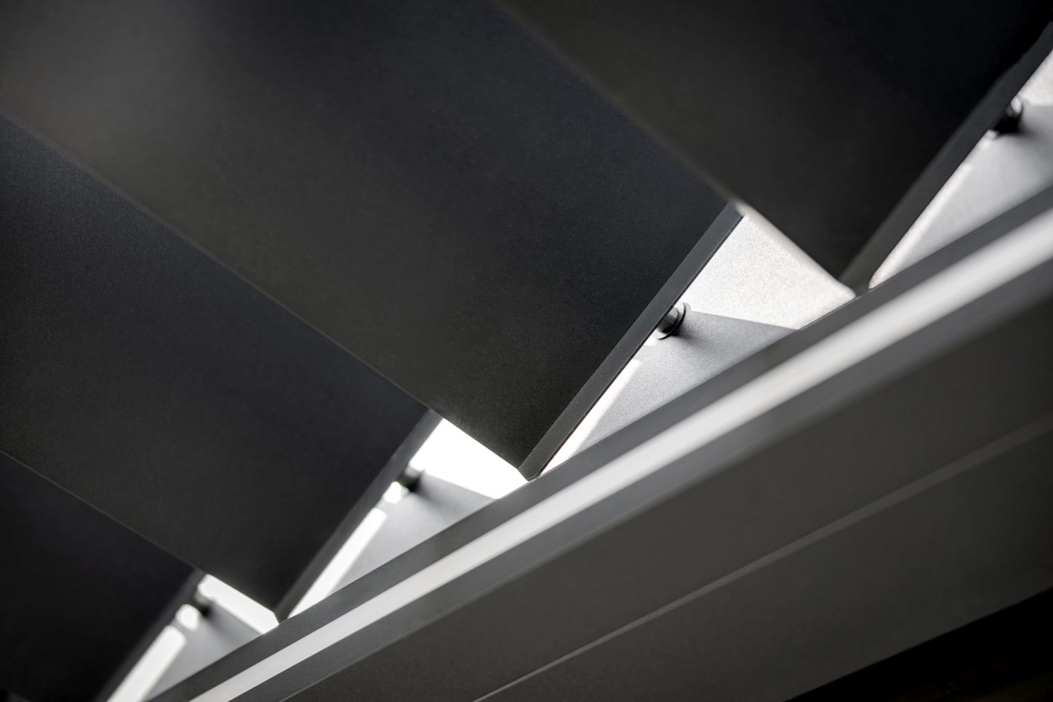 bio_LAMARK_opocno_detail_lamel
